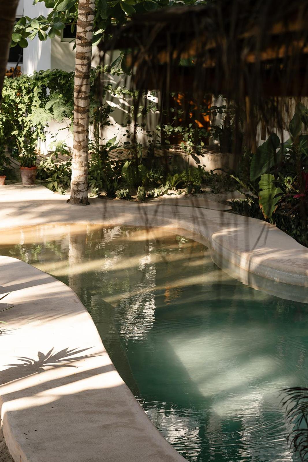 Cocal, -eco Boutique-
